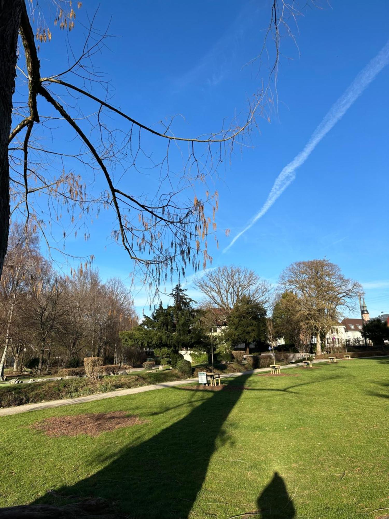 Fewo “Ruhige Momente” In Waldkirch Bagian luar foto