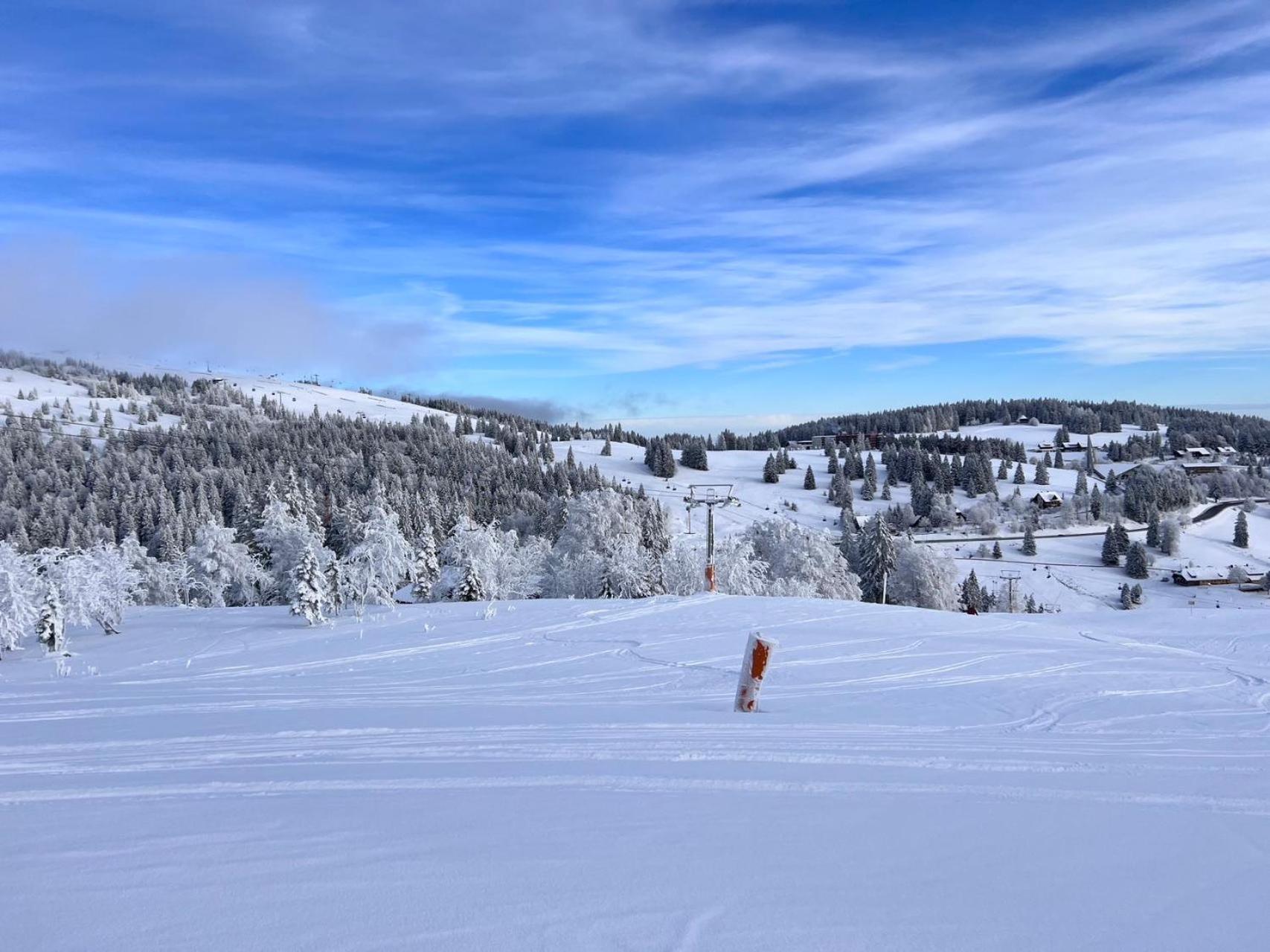 Fewo “Ruhige Momente” In Waldkirch Bagian luar foto