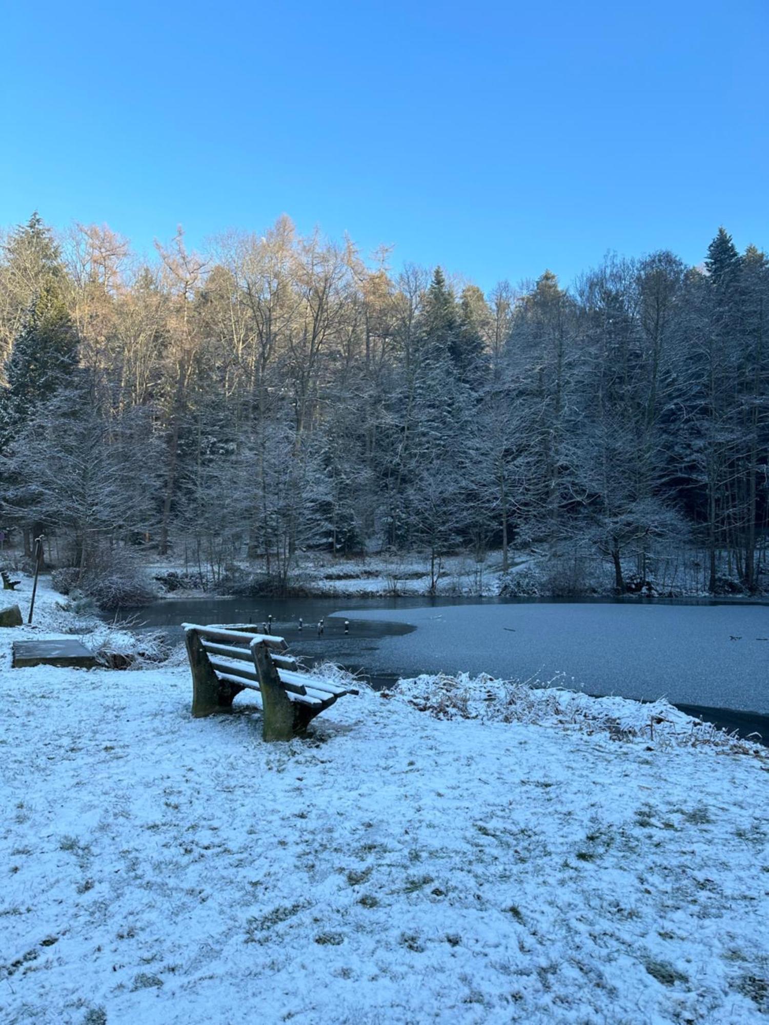 Fewo “Ruhige Momente” In Waldkirch Bagian luar foto