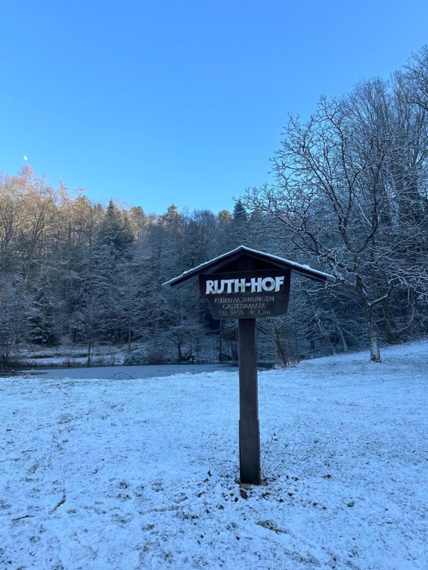 Fewo “Ruhige Momente” In Waldkirch Bagian luar foto