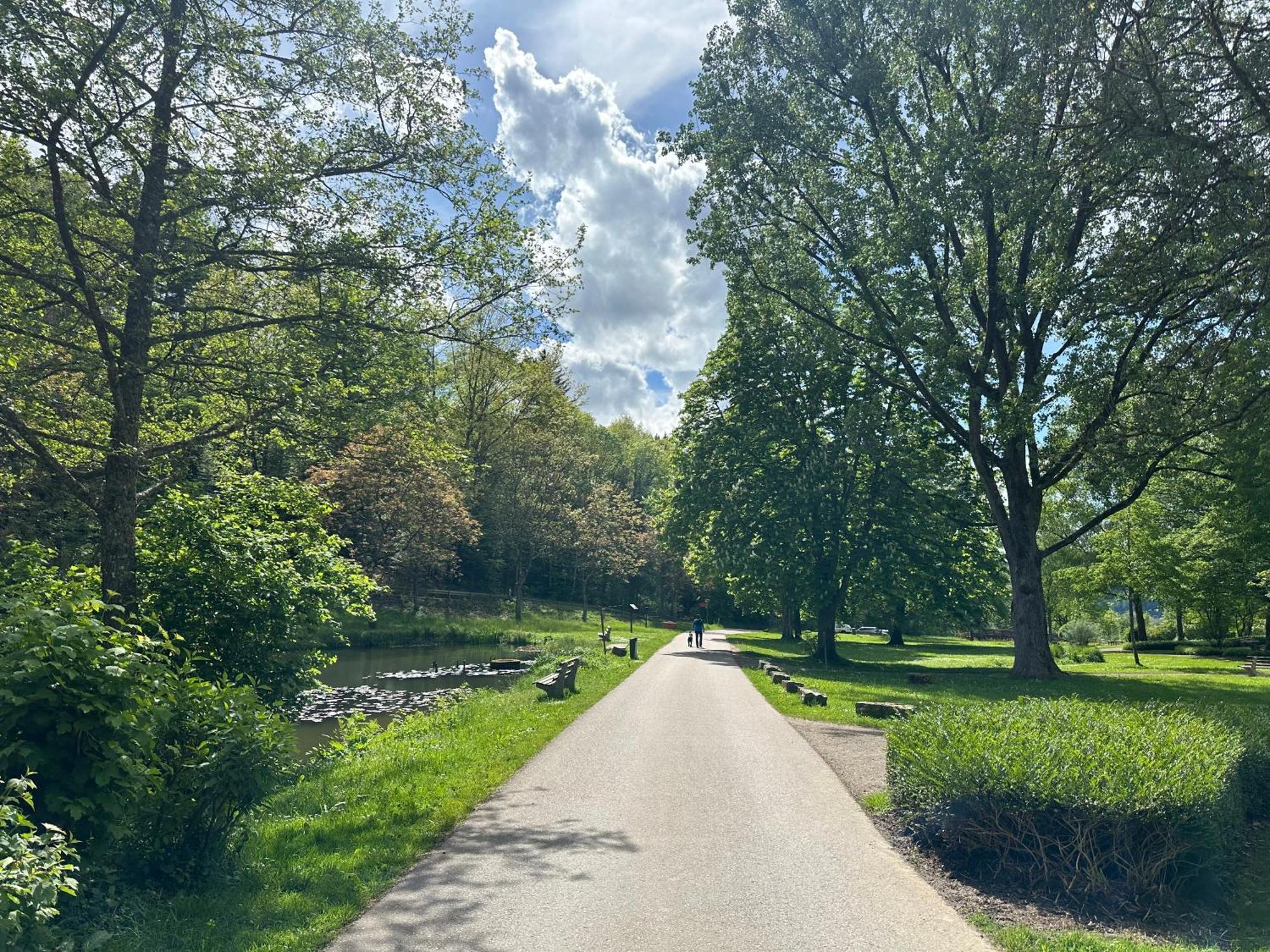 Fewo “Ruhige Momente” In Waldkirch Bagian luar foto